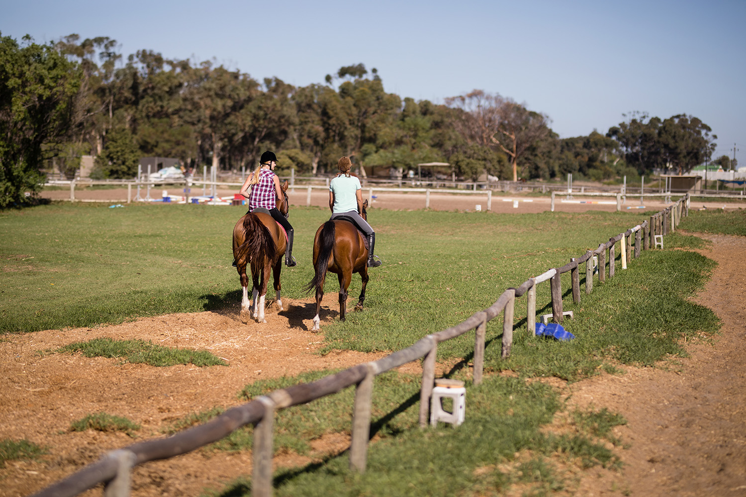 Getting ’round The Paddock of Life